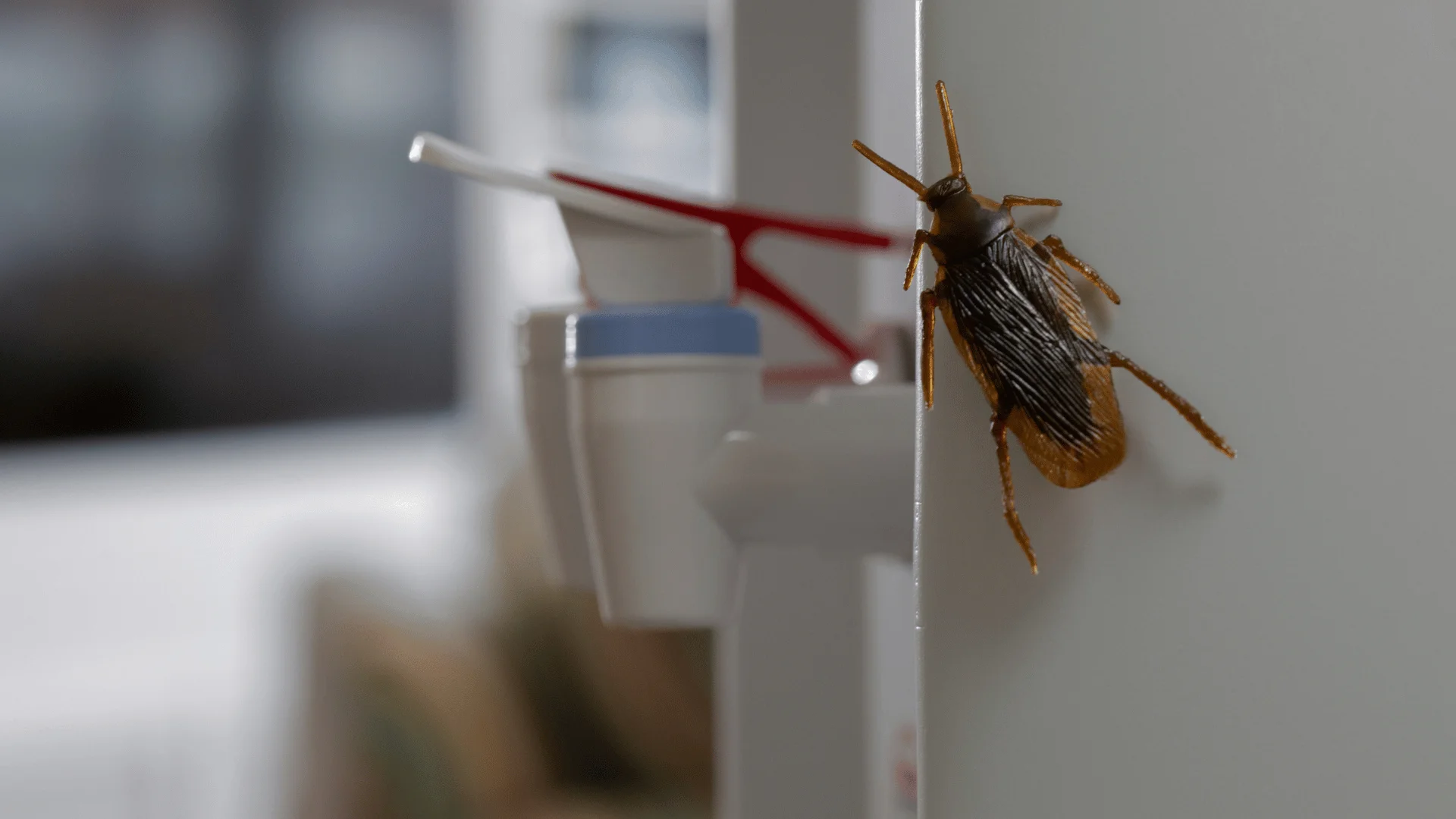 Insect control near you by ER Pest and Termite in San Bernardino, CA