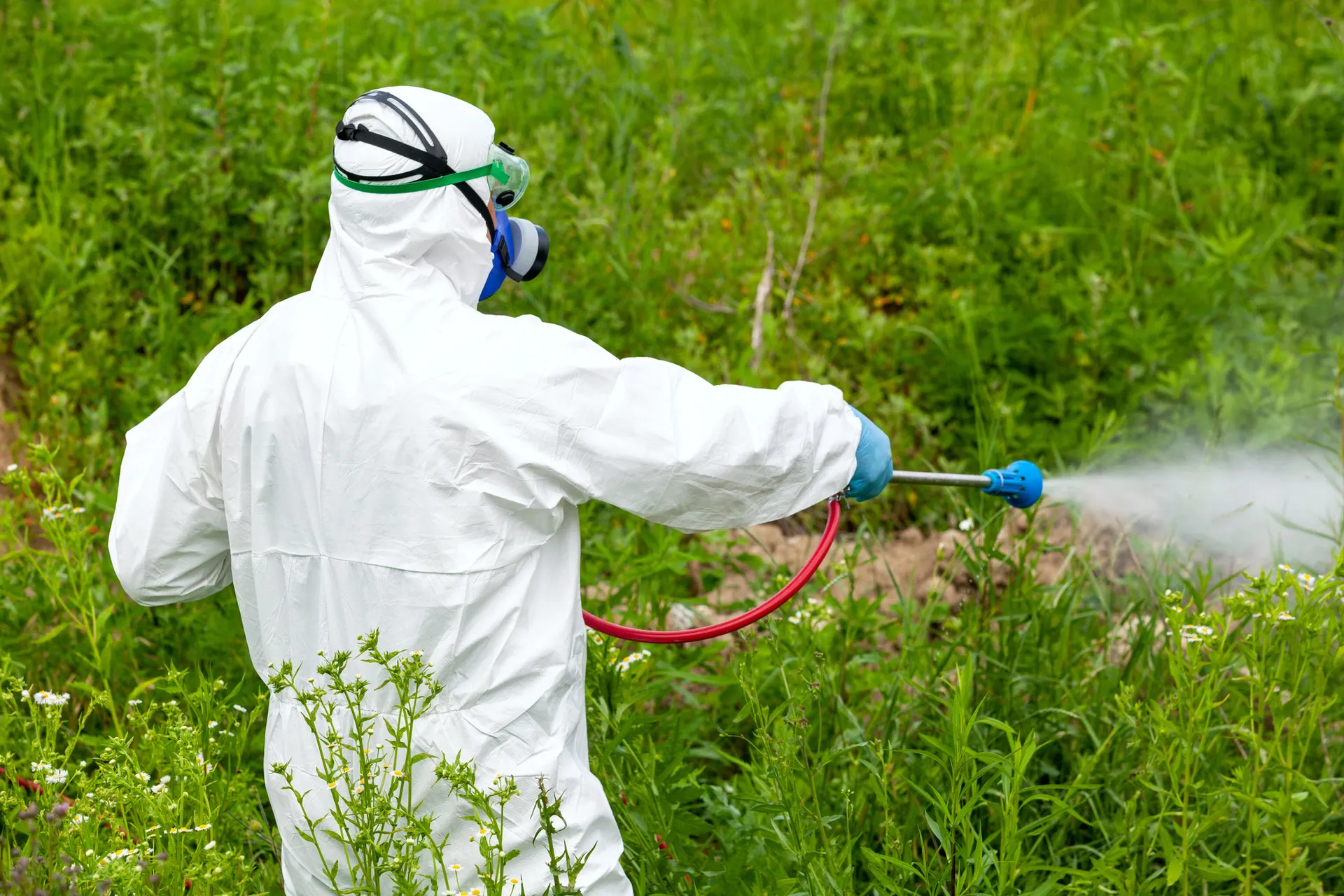 Pesticide control San Bernardino, CA ER Pest and Termite